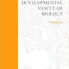 9780121531621 1 | Developmental Vascular Biology 62 | 9780121531614 | Together Books Distributor
