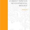 9780121531645 1 | Current Topics In Developmental Biology Vol 64 | 9780121531638 | Together Books Distributor