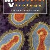 9780121585334 1 | Principles Of Molecular Virology 3 E | 9780121602819 | Together Books Distributor