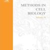 9780124802780 1 | Methods In Cell Biology Vol 74Development Of Sea Urchins Ascidiansand Other Invertbrate Deuterostomes:Experimental Approach | 9780124802827 | Together Books Distributor