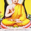 9780143419969 1 | Book of Buddha-PB | 9780143420743 | Together Books Distributor