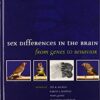 9780195311587 1 | Sex Differences In The Brain: From Genes To Behavior | 9780195310429 | Together Books Distributor