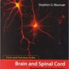9780262232104 | Form And Function In The Spinal Cord: Perspectives Of A Neurologist Issues In Clinical And Cognitive Neuropsychology | 9780262541435 | Together Books Distributor