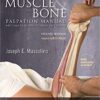 9780323221962 | The Muscle And Bone Palpation Manual With Trigger Points Referral Patterns And Stretching 2Ed Pb 2016 | 9780323220897 | Together Books Distributor