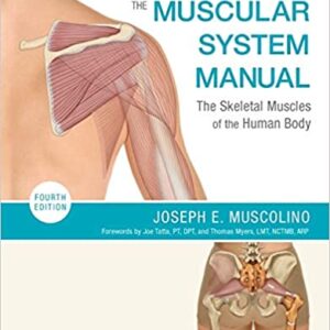 The Muscular System Manual The Skeletal Muscles Of The Human Body 4Ed Pb 2017