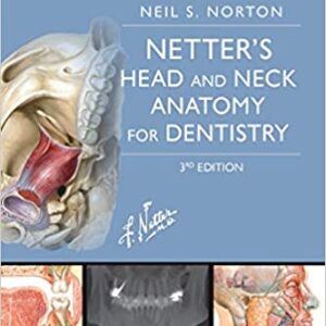 Netters Head And Neck Anatomy For Dentistry 3Ed Pb 2017