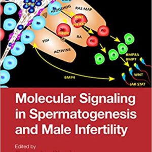 Molecular Signaling In Spermatogenesis And Male Infertility Hb 2020