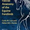 9780815387381 | Fascial Anatomy Of The Equine Forelimb Pb 2018 | 9780815373018 | Together Books Distributor