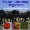 9781118739792 | Interpretation Of Equine Laboratory Diagnostics Hb 2018 | 9781118741184 | Together Books Distributor