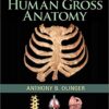 9781451187403 | Human Gross Anatomy Pb 2016 | 9781451186918 | Together Books Distributor