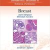 9781496300652 | Differential Diagnoses In Surgical Pathology Breast Hb 2017 | 9781496301048 | Together Books Distributor