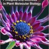 9781781630259 | Principles And Methods In Plnat Molecular Biology Hb 2017 | 9781781630242 | Together Books Distributor