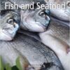 9781905224760 | Microbiology Handbook: Fish And Seafood Hb 2009 | 9781926895857 | Together Books Distributor