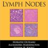 9781936287086 | Lymph Nodes Pb 2013 | 9781936287079 | Together Books Distributor