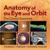 ANATOMY OF THE EYE AND ORBIT THE CLINICAL ESSENTIALS (HB 2017)