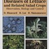 9780123725578 1 | A COLOUR ATLAS OF DISEASES OF LETTUCE AND RELATED SALAD CROPS:OBSERVATION, BIOLOGY AND CONTROL | 9780367241001 | Together Books Distributor