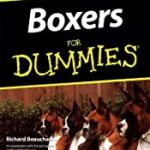 Boxers For Dummies