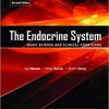 9788131256831 1 | The Endocrine System -2ED | 9788131256824 | Together Books Distributor