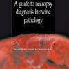 9788492569762 1 | A Guide To Necropsy Diagnosis In Swine Pathology Hb 2014 | 9788492569809 | Together Books Distributor