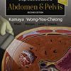 9780323794022 1 | Diagnostic Ultrasound Abdomen And Pelvis 2Ed Hb 2022 | 9780323712842 | Together Books Distributor