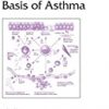 9780824708825 1 | IMMUNOLOGICAL BASIS OF ASTHMA | 9780824708726 | Together Books Distributor