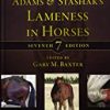 9781119276685 1 | Adams And Stashaks Lameness In Horses 7Ed Hb 2020 | 9780367573294 | Together Books Distributor